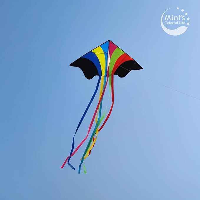 Mint's Colorful Life Delta Kite for Kids & Adults, Extremely Easy to Fly Kite for Beach Trip, Best Kites for Beginners, 300ft String Handle Included