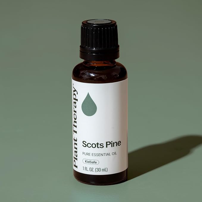 Plant Therapy Scots Pine Essential Oil 30 mL (1 oz) (Pack of 2) 100% Pure, Undiluted, Aromatherapy for Clear Breathing, and Sore Muscle Relief