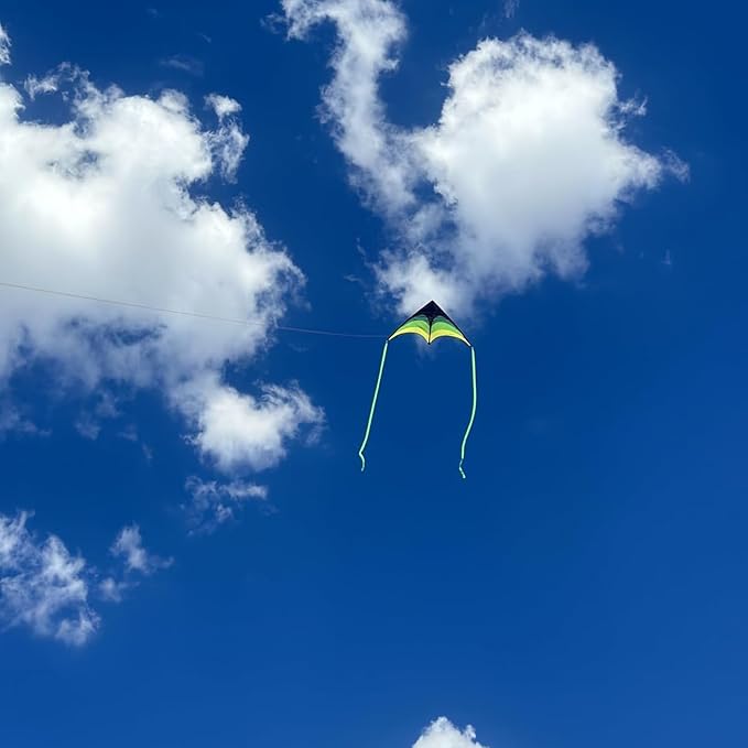Delta Kite for Kids & Adults - Easy to Fly Large Single Line Beach Kite with 300ft String Handle Included, Perfect for Beginners, Teens