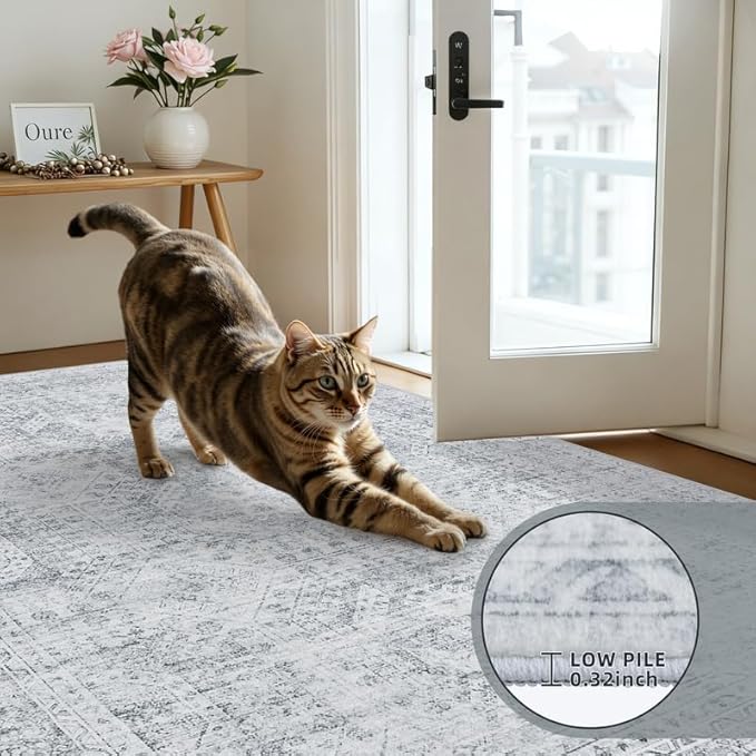 Machine Washable Area Rugs 2x3: Vintage Boho Neutral Washable Rug Indoor Soft Small Entryway Throw Carpet for Living Room Bedroom Kitchen Laundry Floor Non-Slip Low Pile Entrance Rug Gray
