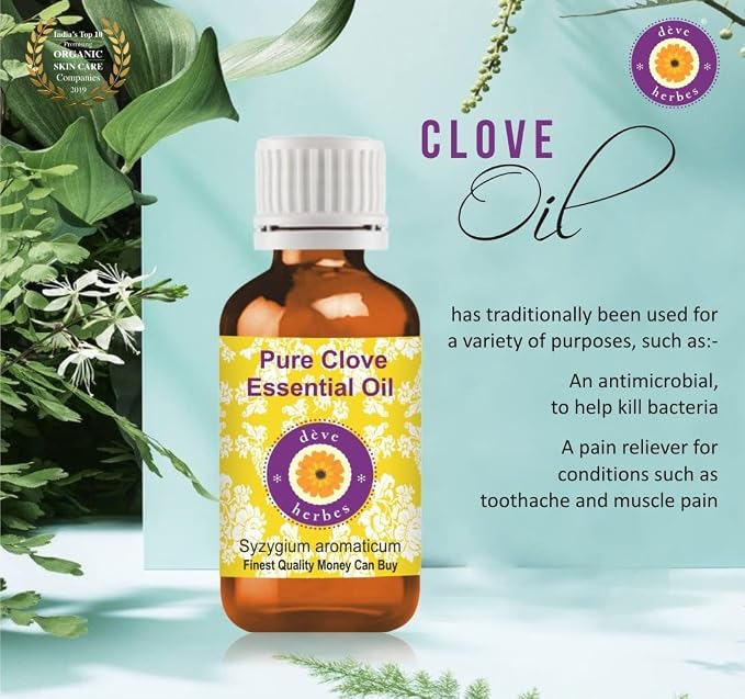 Deve Herbes Pure Clove Essential Oil (Syzygium aromaticum) Steam Distilled (Pack of Three) 100ml X 3 (10 oz)