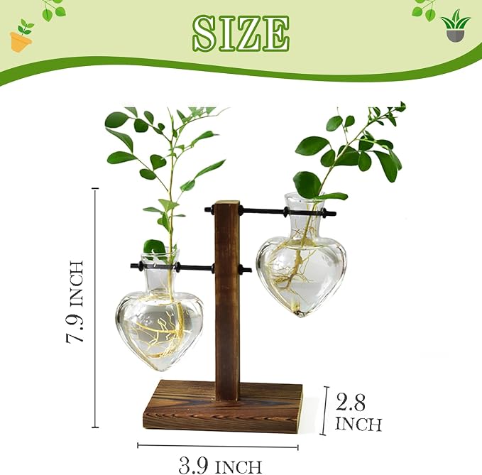 XXXFLOWER Plant Propagation Station Terrarium Wooden Stand 2 Love Bulb Vase | Flower Glass Vase Plant Desktop Holder, Home Garden Office Decor for Birthday Gift for Women Plant Lover
