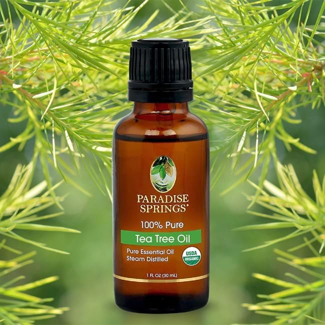 Paradise Springs Organic Tea Tree Essential Oil 1 fl oz (30ml) | 100% Pure & Natural Tea Tree Oil for Aromatherapy, Diffusers, Humidifiers, Massage, Skin & Hair Care
