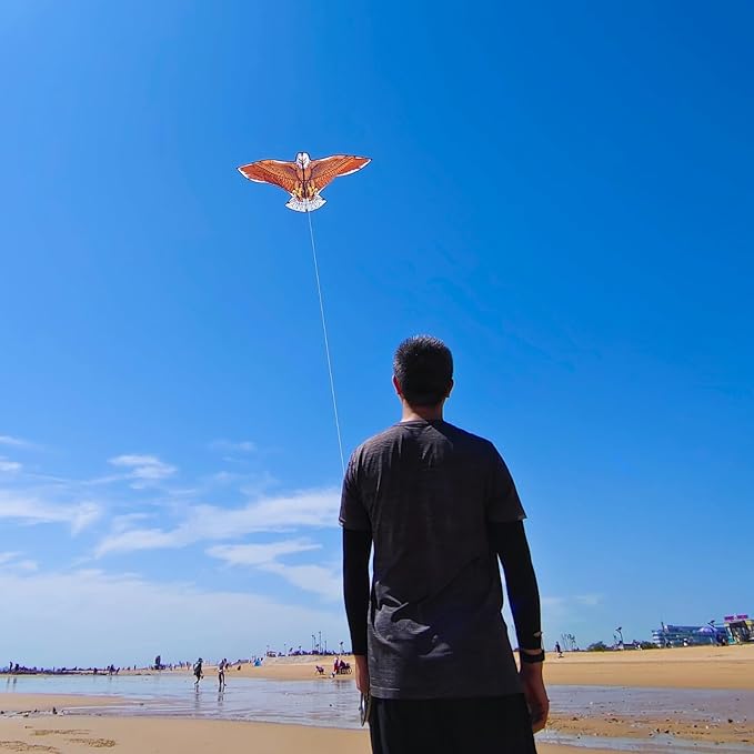 Kites for Kids and Adults, Easy to Fly for Beach, Single Line Kite Set for Beginners