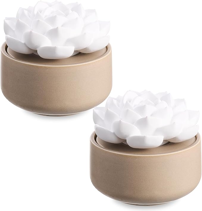 Honeydak 2 Pcs Ceramic Essential Oil Diffuser, Non Electric Reedless Passive Porcelain Flower Aromatherapy Diffuser, Decorative Floral Design Tabletop Office Home Bathroom Decor (Succulent)