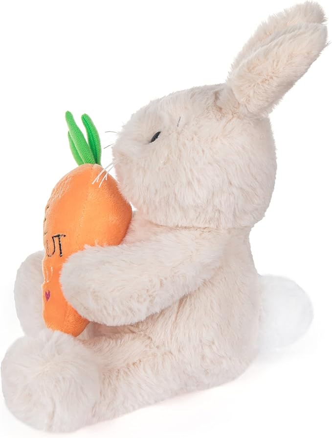My OLi Bunny Stuffed Animal - 8in Plush Bunny with Carrot Sitting Rabbit Stuffed Toy Gifts for Girls Boys Kids