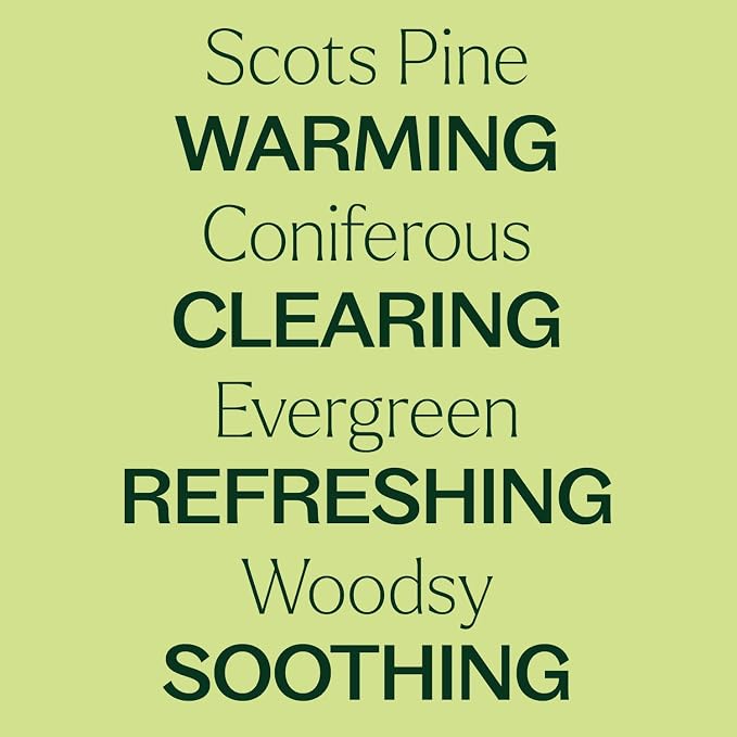 Plant Therapy Scots Pine Essential Oil 30 mL (1 oz) 100% Pure, Undiluted, Therapeutic Grade