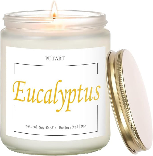 Eucalyptus Mint Highly Scented Candles, Natural Soy Aromatherapy Organic Non Toxic Candles with Long Lasting Burn, Luxury Essential Fragrance Jar Candle Gift for Birthday, Housewarming (9oz)
