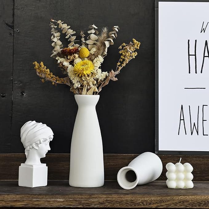 CEMABT White Ceramic vase Set-3 Small Flower vases for Decor,Modern Boho Farmhouse Home Decor,Decorative vase for Pampas Grass&Dried Flowers,idea Shelf,Table,Bookshelf ，Entryway- Distressed