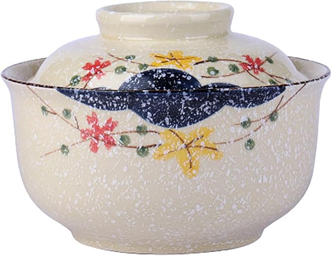 Ceramic Ramen Bowl with Lid, 25 Oz Big Bowl for Noodle, Soup, Porridge and Rice, Japanese Style, Korean Clay Pot, Oven, and Microwave Safe (Pattern C)