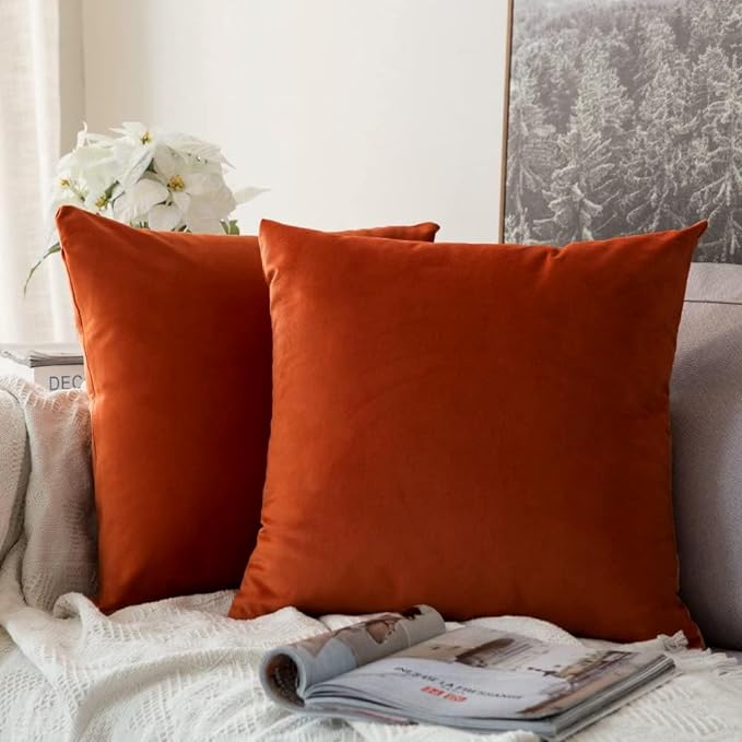 MIULEE Velvet Fall Throw Pillow Covers 14x14 Inch Pack of 2 Burnt Orange | Soft Solid Small Decorative Pillow Covers, Modern Luxury Home Decor, for Couch Chair Sofa Bedroom Livingroom Car
