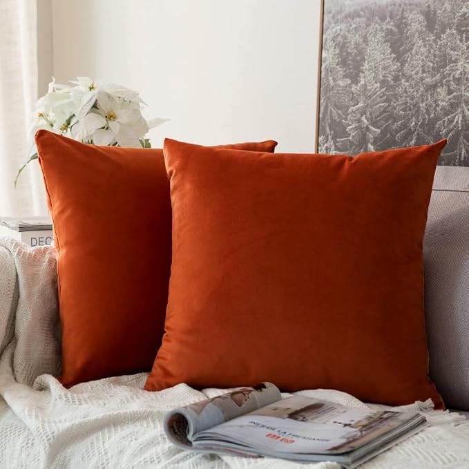 MIULEE Velvet Fall Throw Pillow Covers 16x16 Inch Pack of 2 Burnt Orange | Soft Solid Small Decorative Pillow Covers, Modern Luxury Home Decor, for Couch Chair Sofa Bedroom Livingroom Car