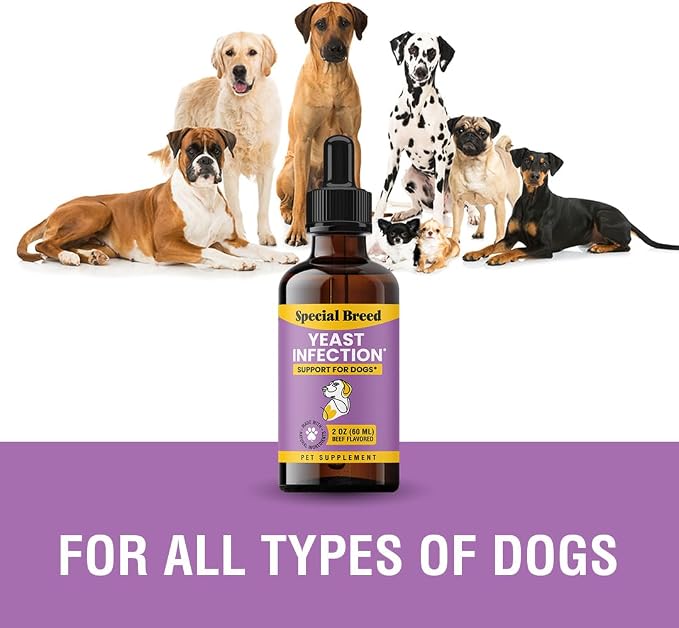Natural Yeast Infection Relief for Dogs – Itchy Skin & Ear Treatment, Supports Allergy & Immune Health, Reduces Itching, Irritation & Inflammation, Liquid Drops, 2oz