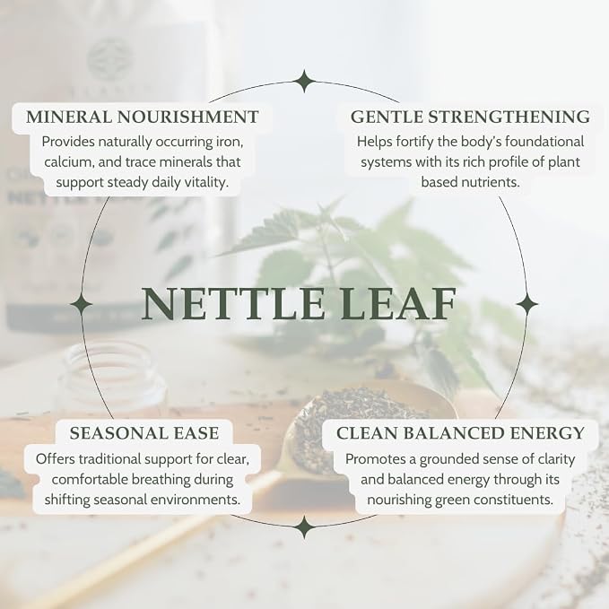 Organic Stinging Nettle 4 oz. (113g), USDA Certified Organic Nettle Leaf Tea, Ortiga, Stinging Nettles Leaf, Cut & Sifted