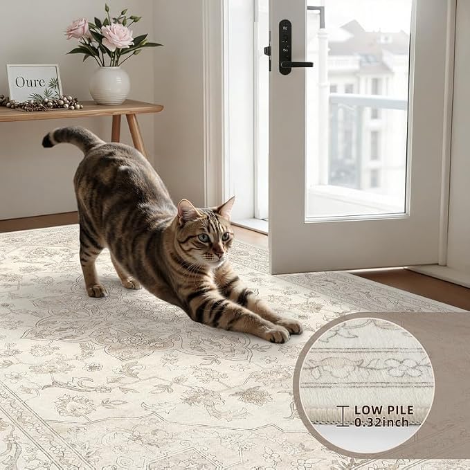 Machine Washable Area Rugs 2x3: Vintage Boho Neutral Washable Rug Indoor Soft Small Entryway Throw Carpet for Living Room Bedroom Kitchen Laundry Floor Non-Slip Low Pile Entrance Rug Beige White