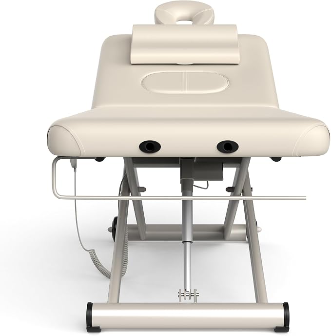 Dolonm Electric Massage Table, Heavy Duty Electric Lift and Backrest 2 Motor Adjustable for Treatment/Medical Spa/Facial Bed/Beauty Bed/Massage and More - 31.2 Wide x 75 Long, Beige Gray