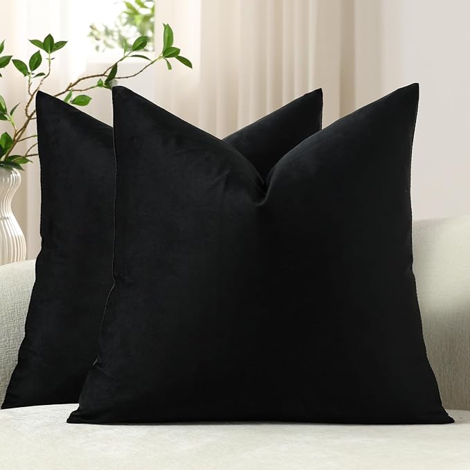 Throw Pillow Covers 16x16 Black: Pack of 2 Cozy Soft Velvet Square Modern Luxury Decorative Throw Pillow Cases for Sofa Couch Living Room Bed Home Decor