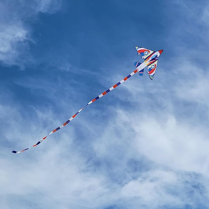 Delta Kite for Kids & Adults - Easy to Fly Large Single Line Beach Kite with 300ft String Handle Included, Perfect for Beginners, Teens
