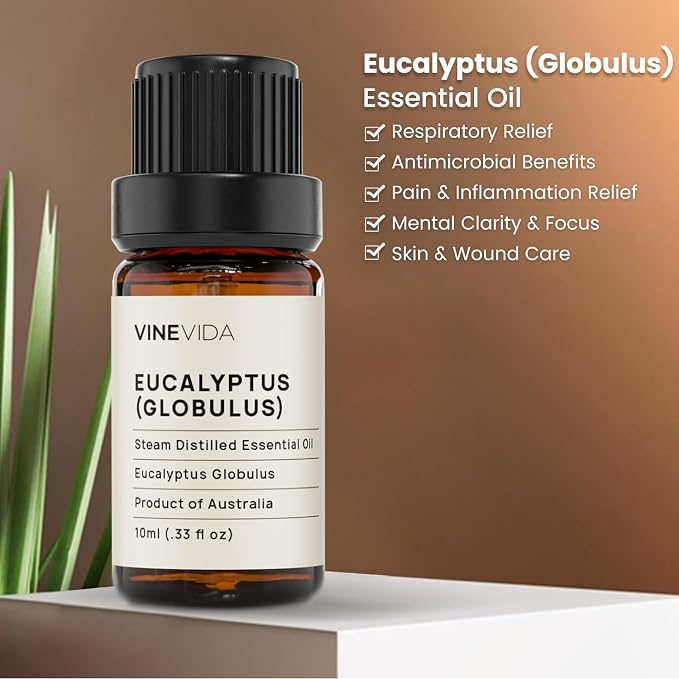 VINEVIDA Eucalyptus Essential Oil - 10 mL Undiluted - DIY Candle Scents