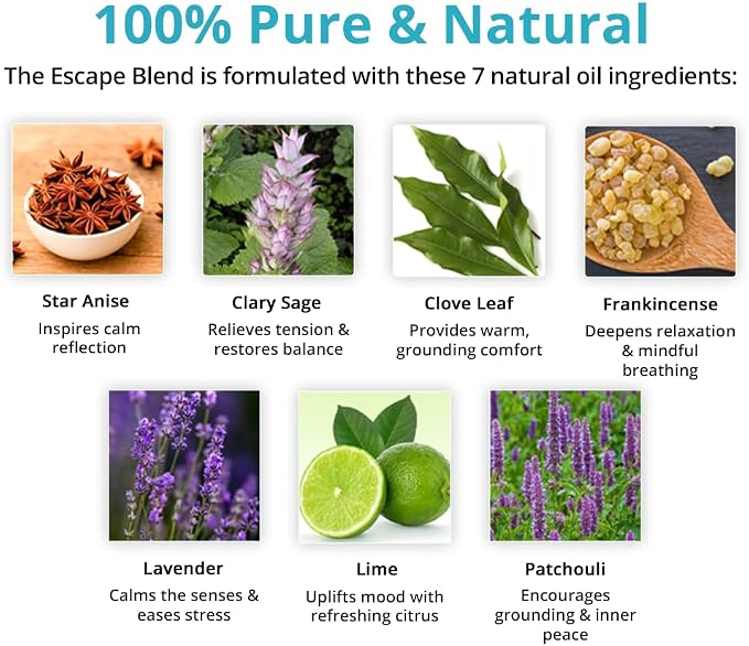 Wild Essentials Escape 100% Pure Essential Oil Synergy Blend 10ml, Therapeutic Grade Daydream Break! Meditative Power Oil, Made in The USA
