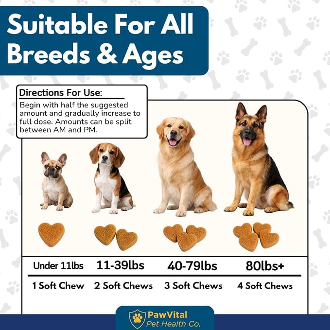 Natural Yeast Infection Treatment for Dogs, 150 Chews – Anti Yeast Support for Itchy Skin & Ears – Helps Reduce Irritation & Paw Licking – Probiotic + Herbal Blend – Bacon Flavored Soft Chews