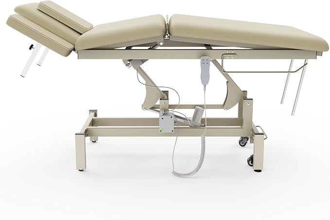 2 Motors Electric Massage Table, Hydraulic Electric Lift Adjustable Waist and Height Lifting Functions for Treatment, Physical Therapy, Spinal Massage, Facial Spa, Waxing, Tattooing - Beige Gray