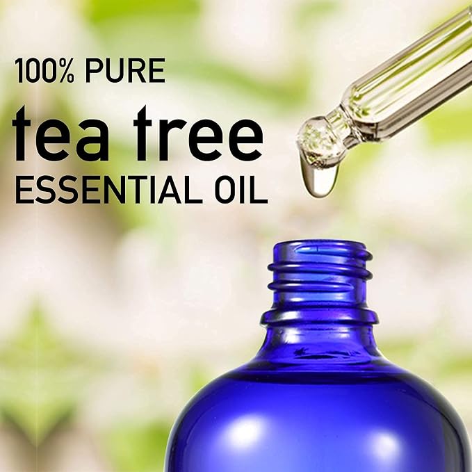 Peppermint Oil, 150 ml and Pure Australian Tea Tree Essential Oil, 150ml for Diffusers Aromatherapy & Humidifiers