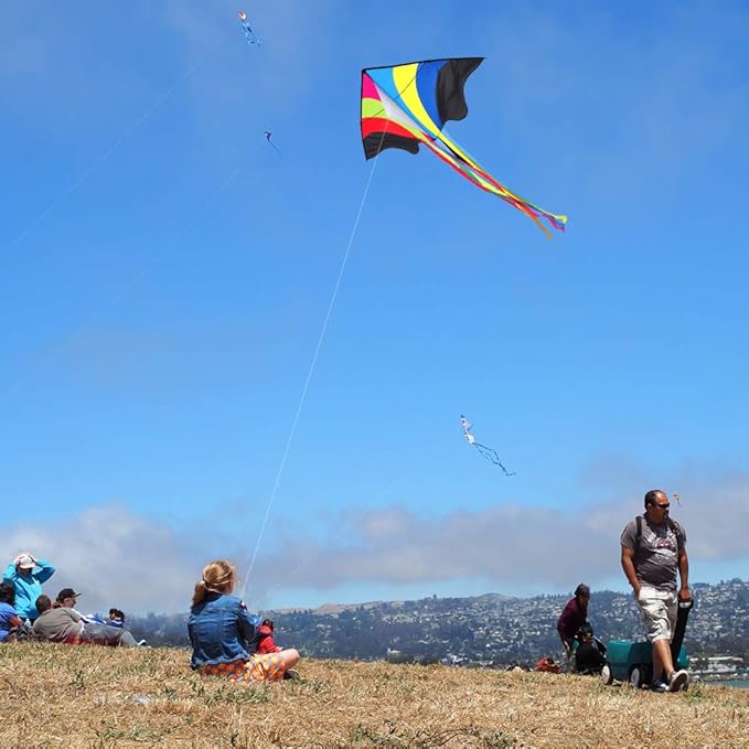 Mint's Colorful Life Delta Kite for Kids & Adults, Extremely Easy to Fly Kite for Beach Trip, Best Kites for Beginners, 300ft String Handle Included
