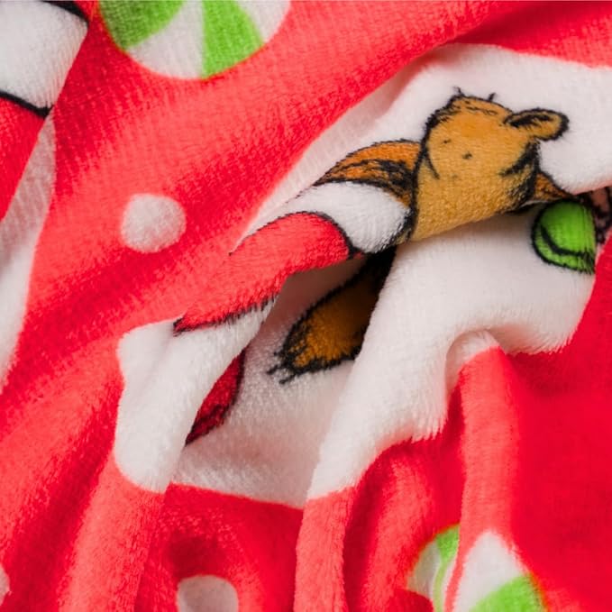 Franco Collectibles The Grinch By Dr. Seuss Holiday Christmas Super Soft Cozy Plush Throw, 40 in x 50 in, (Officially Licensed Product)