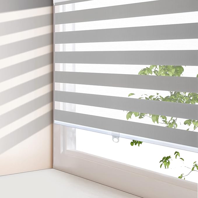 AOSKY Zebra Blinds for Windows Cordless Roller Shades for Home Free-Stop Windows Shades Dual Layer Light Control for Day and Night Easy to Install 25" W X 72" H, Grey