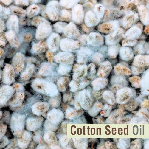 Salvia Cotton Seed Oil 15 ml (0.51 fl oz) – Cold Pressed Carrier Oil for Soap Making, Massage Formulations & DIY Cosmetic Preparations
