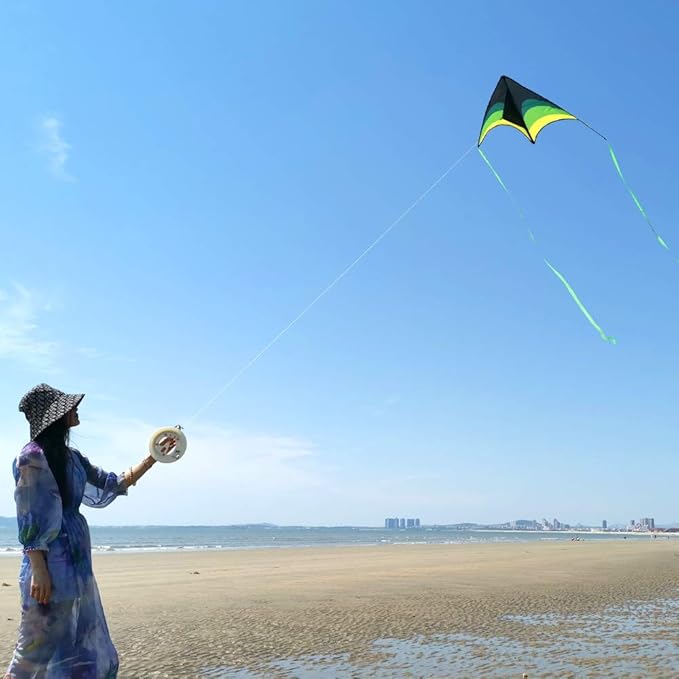 Mint's Colorful Life Delta Kite for Kids & Adults, Extremely Easy to Fly Kite for Beach Trip, Best Kites for Beginners, 300ft String Handle Included