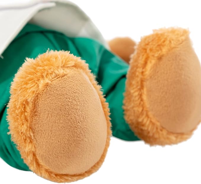 HollyHOME Doctor Bear Stuffed Animal Plush Teddy Bear in Scrubs and White Coat Gifts for Doctors Students and Kids 10 Inch