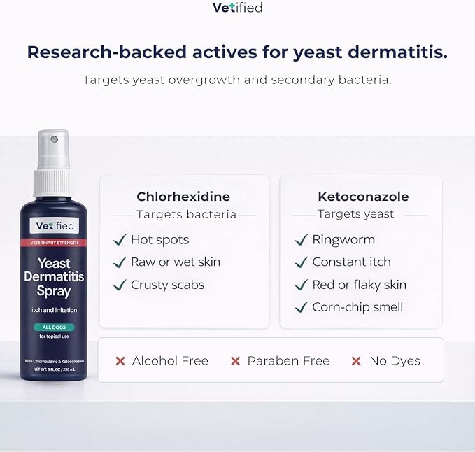 Yeast Dermatitis Spray for Dogs | Veterinary Strength Yeast Infection Treatment for Dogs, Paws and Ears | Topical Anti Yeast Care (+ 30 Day Vet Access) | 8 fl oz | NDC 86247-001-08