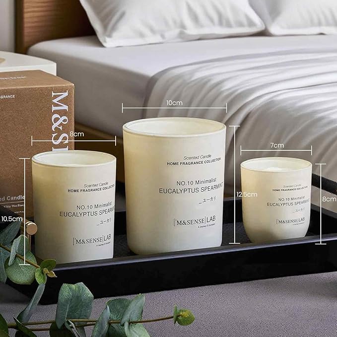 M&SENSE Natural Soy Large Candle| Eucalyptus Mint | 16.6 oz, 95H Burn | Spring Scented Candles for Relaxation, Meditation, Home Décor | for Bedroom, Office, Party