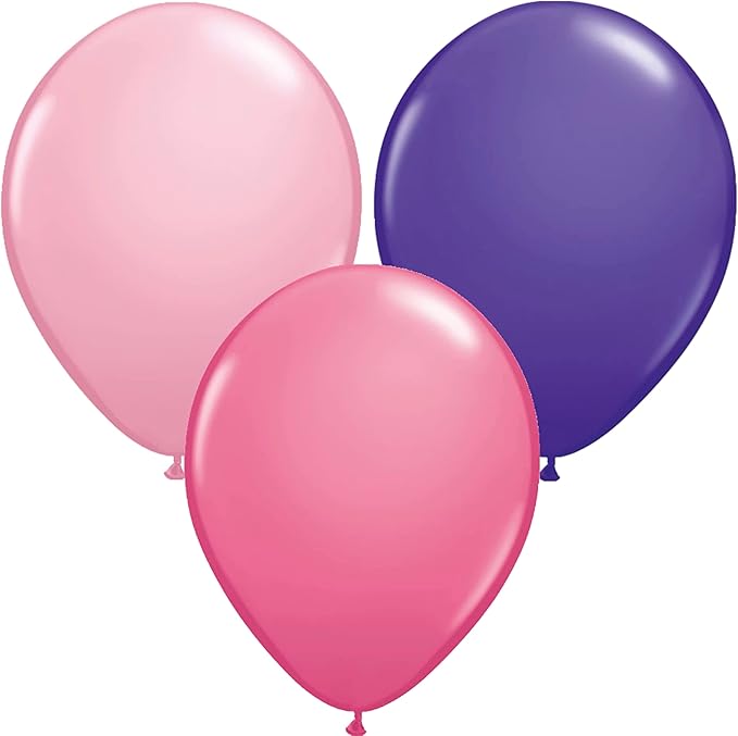 Skye and Everest 2nd Birthday Party Supplies Girl Paw Pups on Patrol Balloon Bouquet Decorations 12ct
