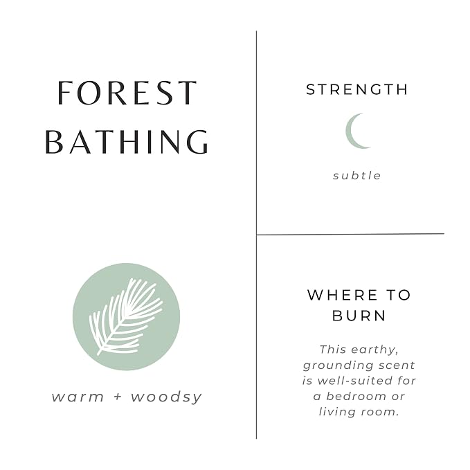 Slow North Forest Bathing Candle - Essential Oils and Pure Soy Wax Candle in a Reusable Frosted Glass Jar - A Unique and Mindful Scented Candle Hand-Poured in the USA (8 oz)