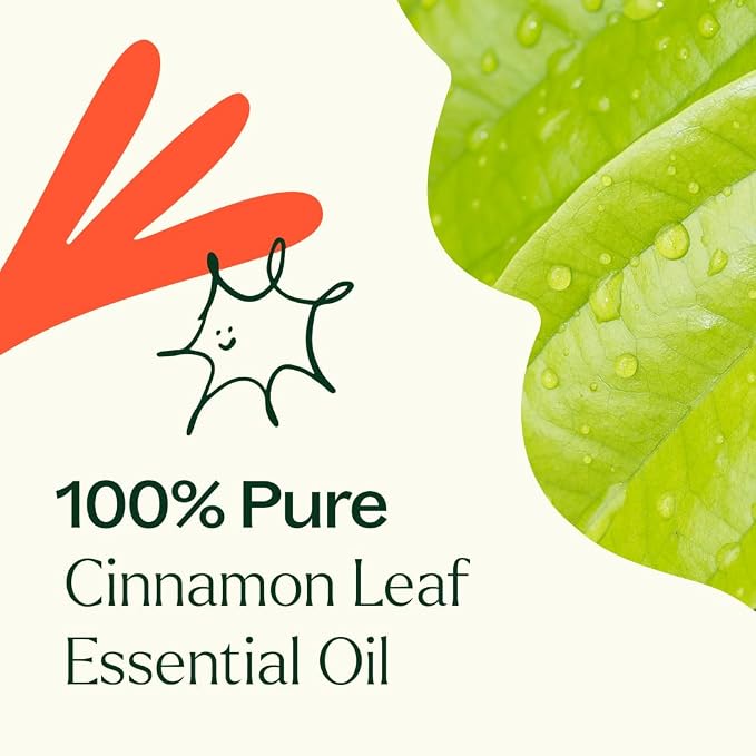 Plant Therapy Cinnamon Leaf Essential Oil 30 mL (1 oz) 100% Pure, Undiluted, Therapeutic Grade