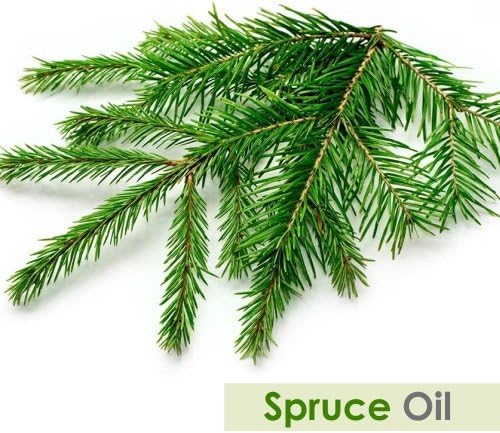 Salvia Spruce Oil 15 ml (0.51 fl oz) – Steam Distilled Fresh Conifer Aromatic Oil for Energizing Diffusion Blends, Masculine Perfumery & DIY Fragrance