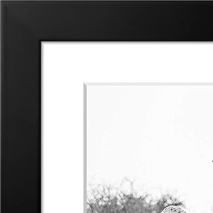 Americanflat 11x11 Picture Frame with Shatter-Resistant Glass - Use as 8x8 Frame with Mat or Display 11x11 Photo Without Mat - Signature Collection - Square Frames for Wall Display - Black | Shatter-resistant glass, sawtooth hangers included, use with ...