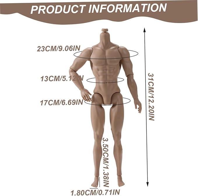 Action Figure Body, 1/6 Scale Action Figure, 6" Multi Jointed Movable Male Muscular Body for Display Collection, Light Brown