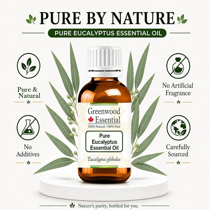 Greenwood Essential Eucalyptus Essential Oil (Eucalyptus globulus) Pure | Non-Sticky | Non-Greasy | Lightweight | Men & Women | All Skin Types | Steam Distilled 50ml (1.69 oz)
