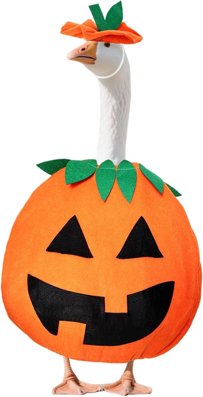 2 Pcs Halloween Porch Goose Outfits Pumpkin Goose Costume for Cement Plastic Duck Halloween Outdoor Patio Yard Lawn Statueart Decor