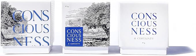 The Kabbalah Centre Soy Scented Candle (Fig)
