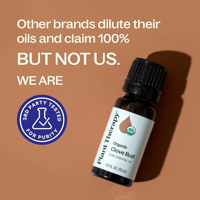 Plant Therapy Organic Clove Bud Essential Oil, 10 mL (1/3 oz), 100% Pure and Undiluted, USDA Certified Organic, Fresh and Spicy Scent, Great for Aromatherapy