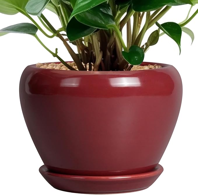 Ceramicfor Ceramic Pot for Plants - 6 Inch Plant Pot Indoor with Drainage Hole and Saucer Succulent Outdoor Planter Round Flower Pot for House Patio Decor Red
