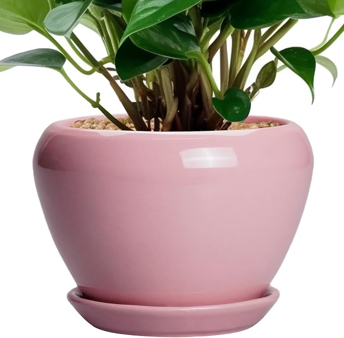 Ceramicfor 6 Inch Plant Pot - Ceramic Pot for Indoor Plants, Glaze Modern Decorative Round Ceramic Planter with Drainage Hole and Saucer, Plant Lover Gifts, Home Garden Room Office Decor, Pink