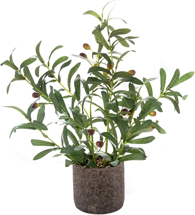 AlphaAcc Fake Faux Small Olive Potted Plant 18" Rustic Cement Planter | Realistic olive branches with lifelike leaves and olives ideal indoor tabletop desk office entryway rustic home decor
