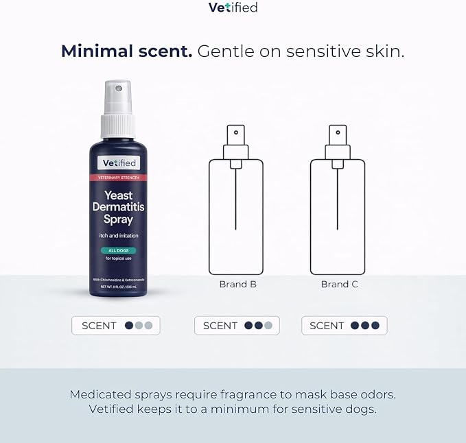 Yeast Dermatitis Spray for Dogs | Veterinary Strength Yeast Infection Treatment for Dogs, Paws and Ears | Topical Anti Yeast Care (+ 30 Day Vet Access) | 8 fl oz | NDC 86247-001-08