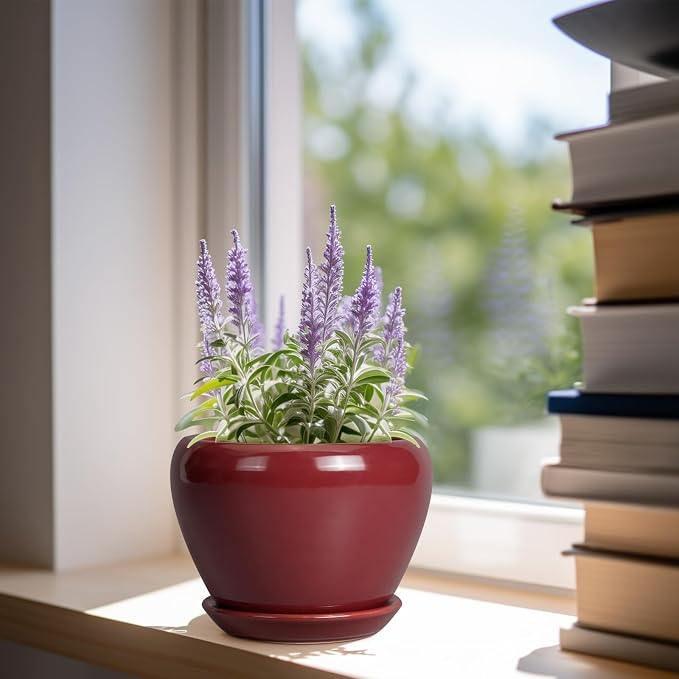 Ceramicfor Ceramic Pot for Plants - 6 Inch Plant Pot Indoor with Drainage Hole and Saucer Succulent Outdoor Planter Round Flower Pot for House Patio Decor Red